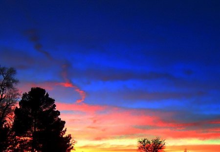 Colorful Sky - trees, sun, landscape, clouds