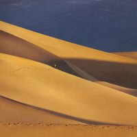 Sand dunes