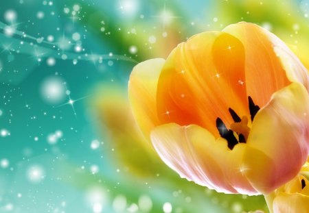 First Tulip of Spring - Holland, cyan, yellow, spring, sparkles, gold, stars, tulip, fleur, flowers, aqua, glow, bright, shine, Dutch