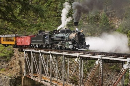 steam train over bridge in colorado - train, forest, mountain, steam, bridge