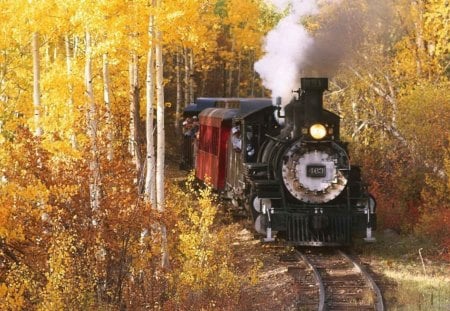 cuyahoga valley steam train in autumn - steam, train, tracks, autumn, forest