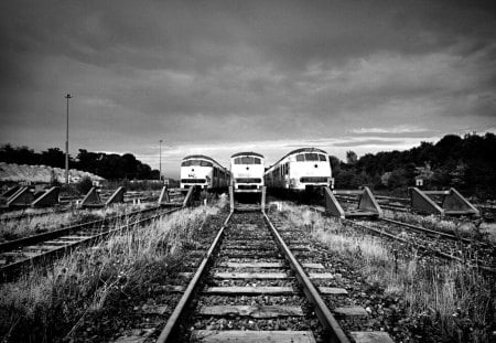 the end of the line for dutch trains - black and white, tracks, trains, grass