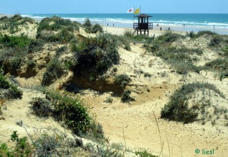 Beach - dunes, water, blue, beach, beaches, ocean, sand, nature, green, waves, sky