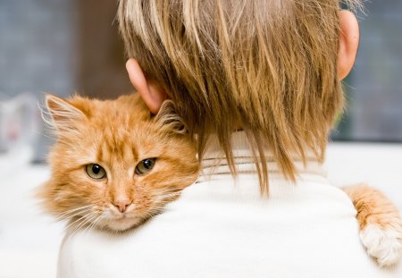 *** A boy with a cat *** - child, animals, people, cat, chaildhoot, boy