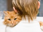 *** A boy with a cat ***