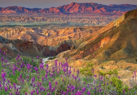 magnificent red mountains over a rugged valley - mountains, valley, flowers, eiver