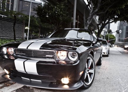 Dodge Challenger SRT8 392 - road, challenger, dodge, car