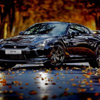 Nissan Skyline GT-R in autumn