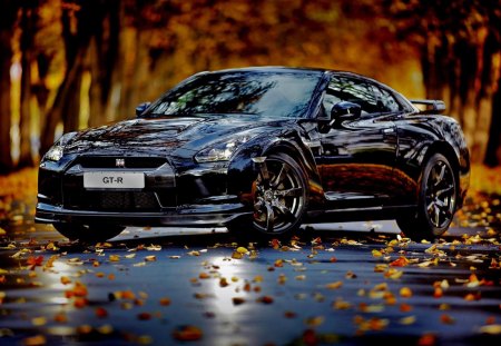 Nissan Skyline GT-R in autumn - road, gtr, autumn, nissan