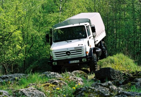 Mercedes-Benz Unimog U5000 - mercedes, forest, truck, benz