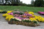 Flower Bed