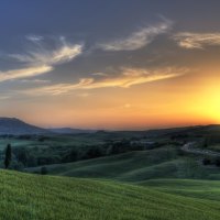 sunset in the field