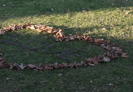 Heart - Love - twigs, grass, leaf, sun