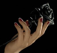 Black Rose