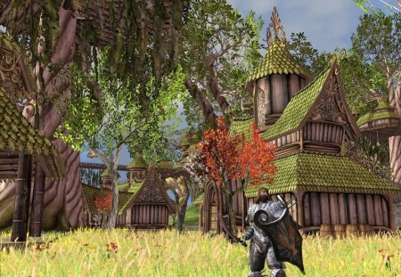 Darkfall make Gold fast - Gold, MMORPG, Game, Darkfall