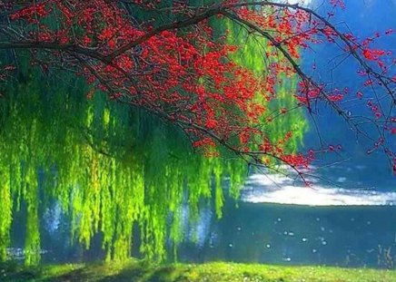 Beautiful view - green trees, lake, sunshine, trees, river, colorful flowers, green, beautiful view