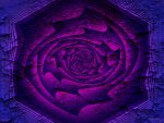 ♥  Abstract Purple Rose  ♥