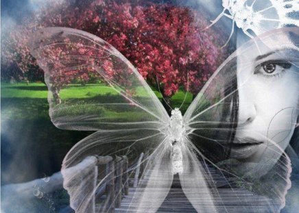 White butterfly and woman - trees, eye, grass, imagination, flowers, looking, butterflies white, nature, woman, pretty face, bridge