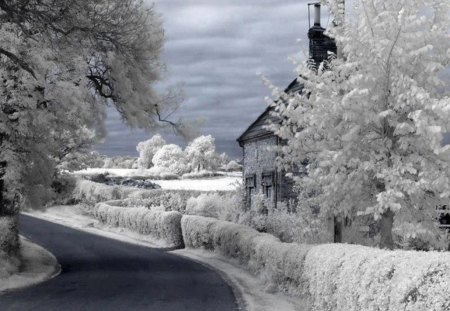 Winter Time - beauty, sky, peaceful, road, winter time, cold, clouds, snowy trees, house, frozen, snowy, landscape, winter, lovely, nature, snow, beautiful