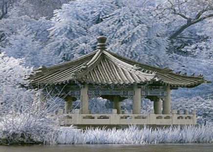 Winter view - river, winter, beautiful view, gazebo, snow, snowy pine trees