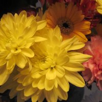 Yellow pale Bouquet of flowers