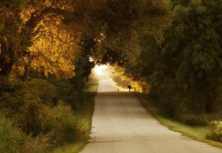 Road - january, road, nature, other