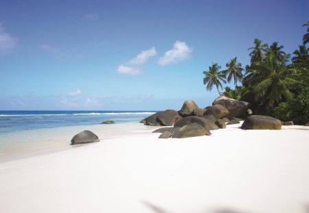 Paradise White Sand Beach Seychelles - lagoon, beach, island, sand, holiday, atoll, palm trees, paradise, luxury, sea, Anse Lazio, resort, ocean, getaway, Seychelles, nature, tropical, boulders, rocks