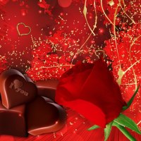 Chocolates and a Red Rose