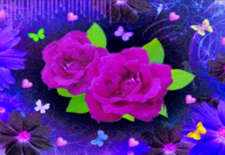 purple roses - roses for love, roses and butterflies, sweet roses, roses