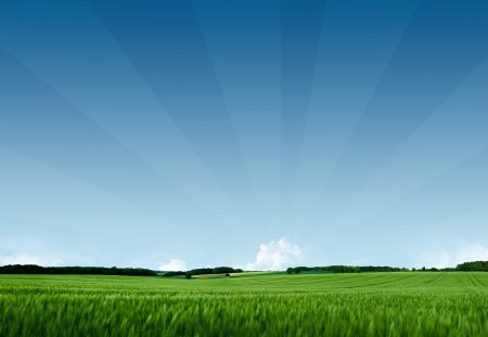 Summer Bliss - clouds, heaven, summer, blue, bliss, simple, hd, field, 3d, sky