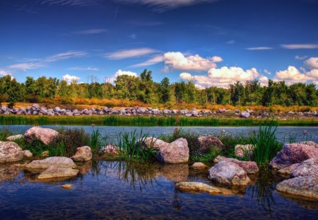 autumn - river, forest, tree, autumn