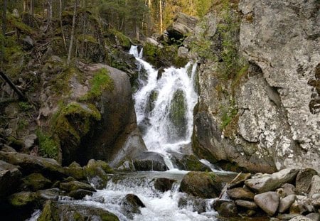 Waterfall - forest, trees, waterfall, rocks