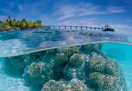 Clear Blue Sea - ocean, clear water, sea, blue