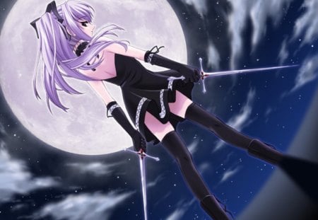 Ninja - pretty, girl, night, swords