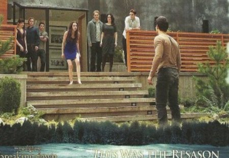 Bella To Drop Kick Jacob - Breaking Dawn, Bella, The Twilight Sagas, Jacob, movies, entertainment