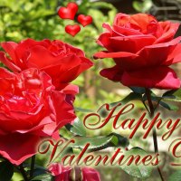 happy valentine day