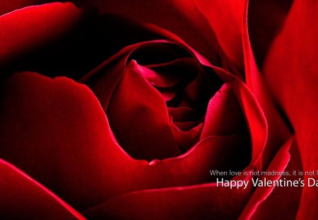 â™¥â™¥â™¥ If love is madness...it is not love  â™¥â™¥â™¥ - flower, rose, flowers, valentines, day