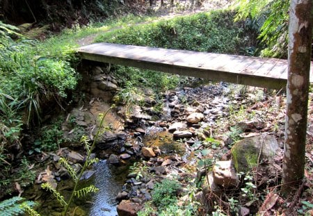 Mountain hiking - wooden bridge, mountain streams, hiking, Mountain, grass