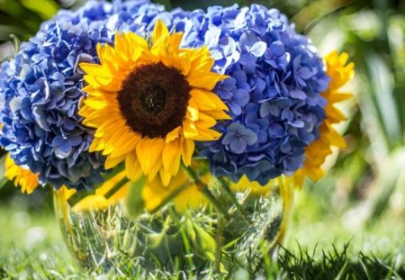 Flowers - nature, sunflowers, flowers, grass