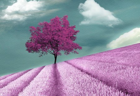 Purple fields - nature, fields, purple, sky, tree