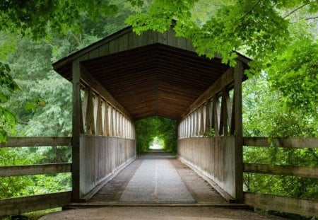 Another covered bridge - bridge, covered, trees, green