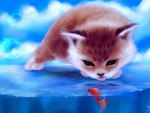 Cute cat