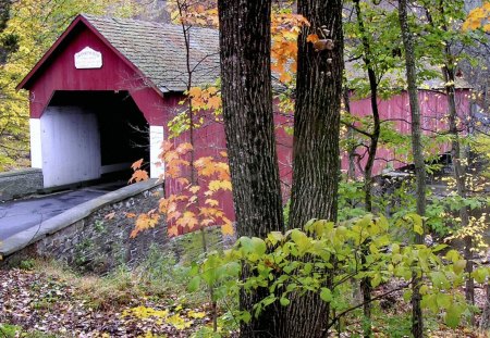 Frankenfield Covered Bridge, Tinicum, Pennsylvania - covered, trees, red, bridge