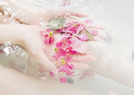 Relaxing time - hands, water, spa, petals, pink