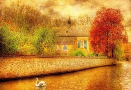 House by the river - colored trees, house, river, water, swan, leaves