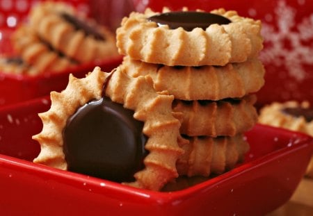 Sweet Cookie - love, yummy, cookie, tooths, delice, biscuit, sweet, chocolate