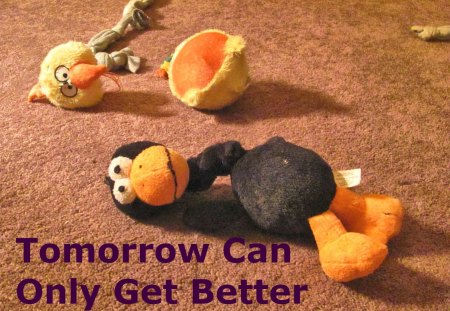 Hope for Tomorrow - emotion, headache, tired, toys, entertainment, frustration, encouragement, animal, nature, hope, funny