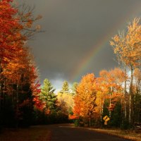 rainbow over an autumn forest