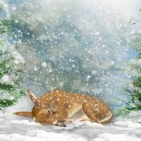 Winter Sleeping Fawn