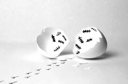 bye - wp, funny, photography, bw, egg, track